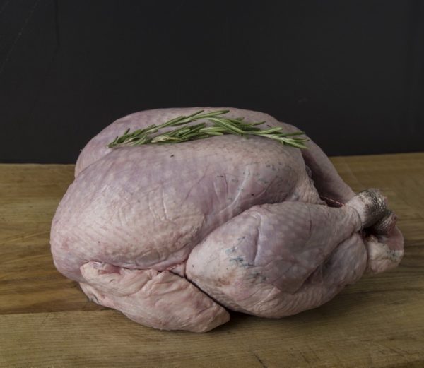 Free Range Bronze Turkey