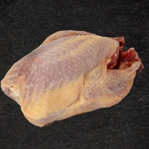 Partridge